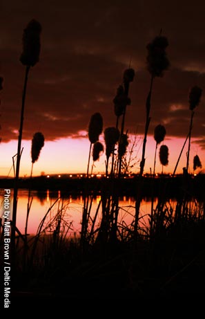 Custom Fishing Rods Bath