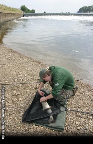 Peregrine GTi Barbel Rod
