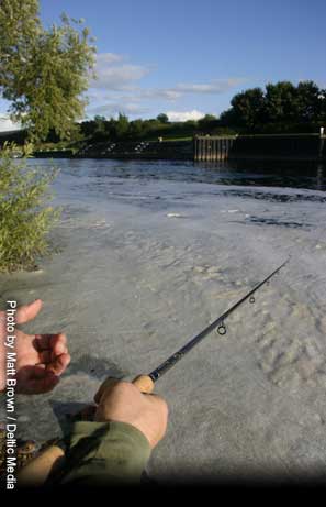 Carp Fishing Bath
